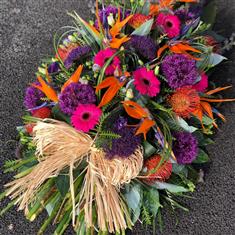 Tied Sheaf,False Stem,Tropical Vibrant 