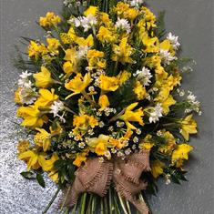 Tied Sheaf,False Stem Daffodil &amp; Narcissus 