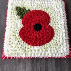 British Legion Poppy 